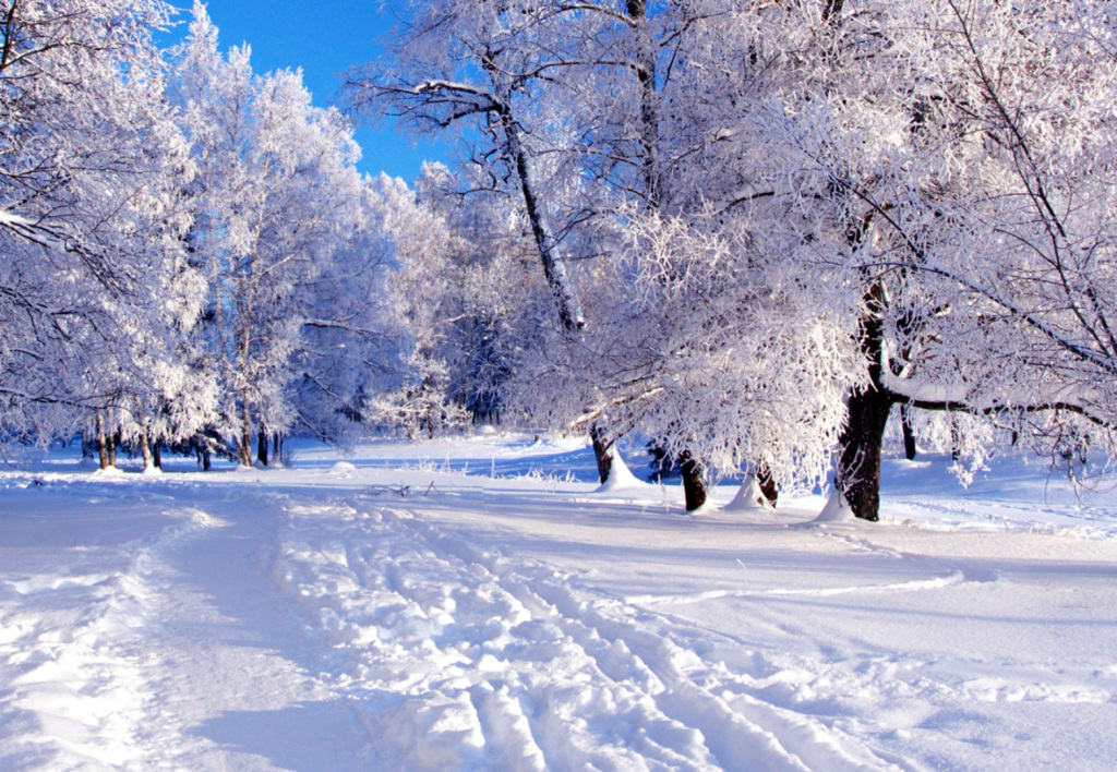 Зимний день воздух. Зима. Зимняя природа. Зима пейзаж. Красивая зима.